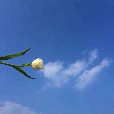 冒名顶替者刺客手机版下载