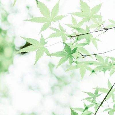 萌萌烧烤官方版(暂未上线)v1.0.56 安卓版